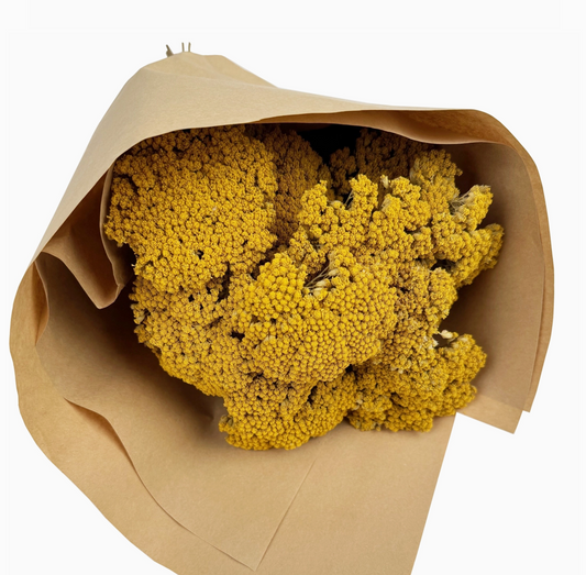 Large Yarrow Bouquet