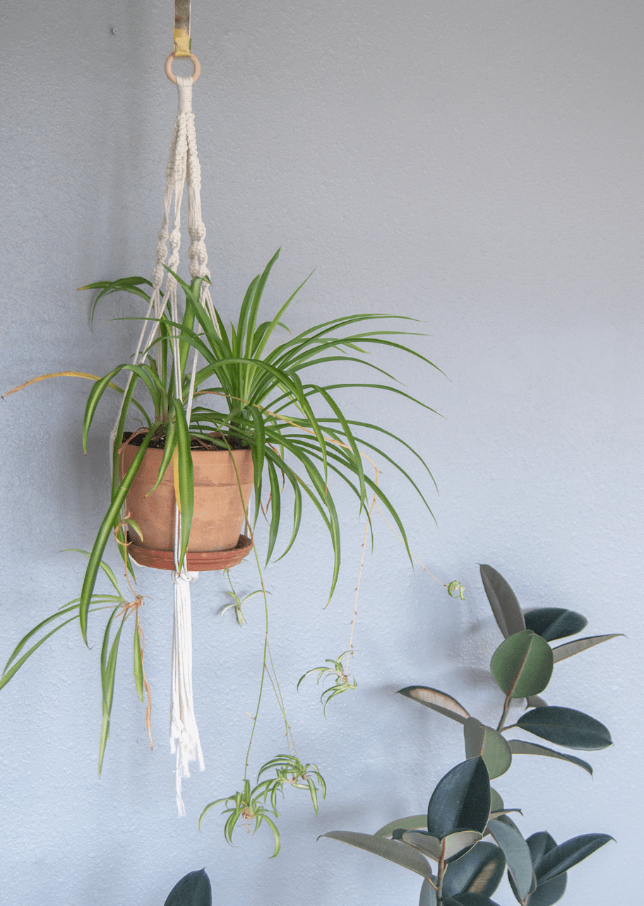 macrame DIY kit