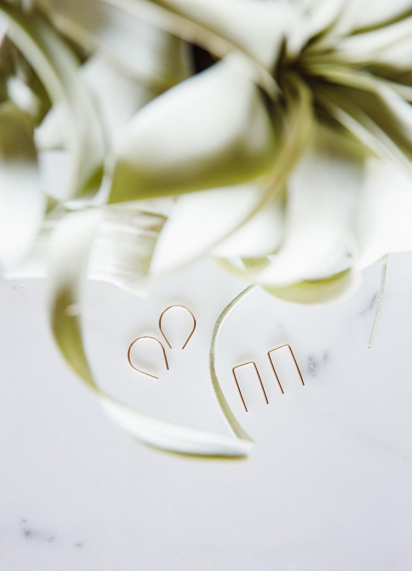 gold arch shaped earring and simple gold staple earrings with airplant