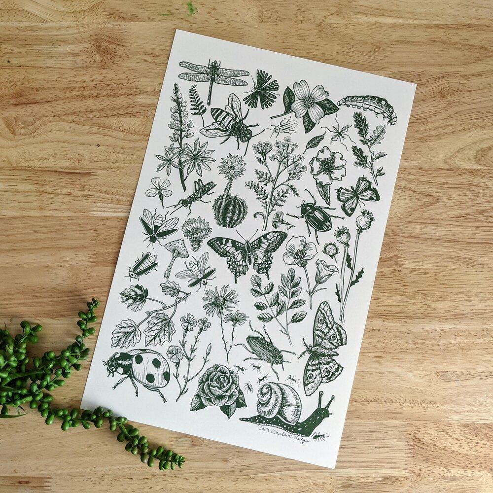 This wall art is the very best of the bug and floral botanical prints.