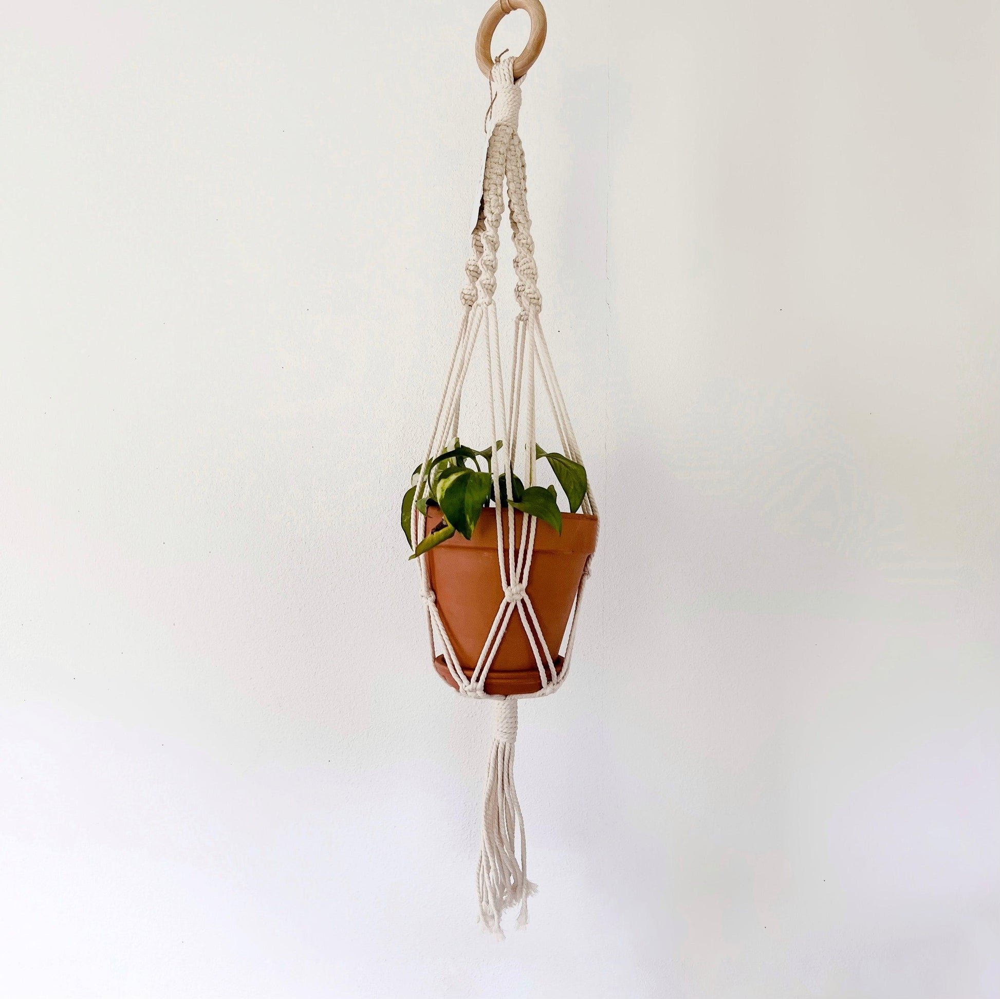 hanging rope planter