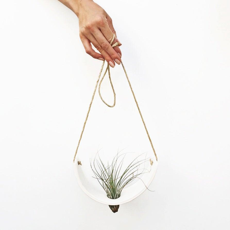 air plant holder hanging Hanging Air Plant Cradle – Elevation Goods