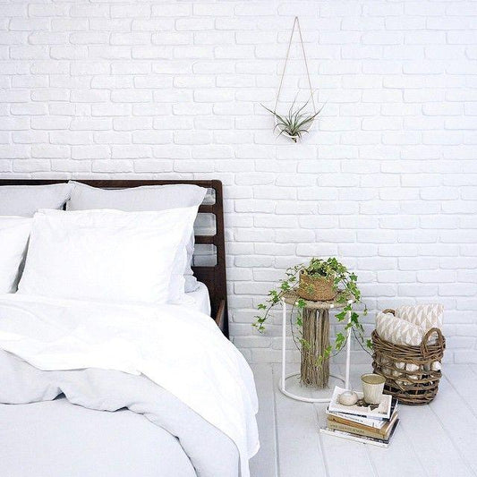 Hanging Air Plant Cradle