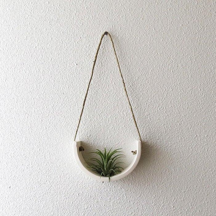 Hanging Air Plant Cradle