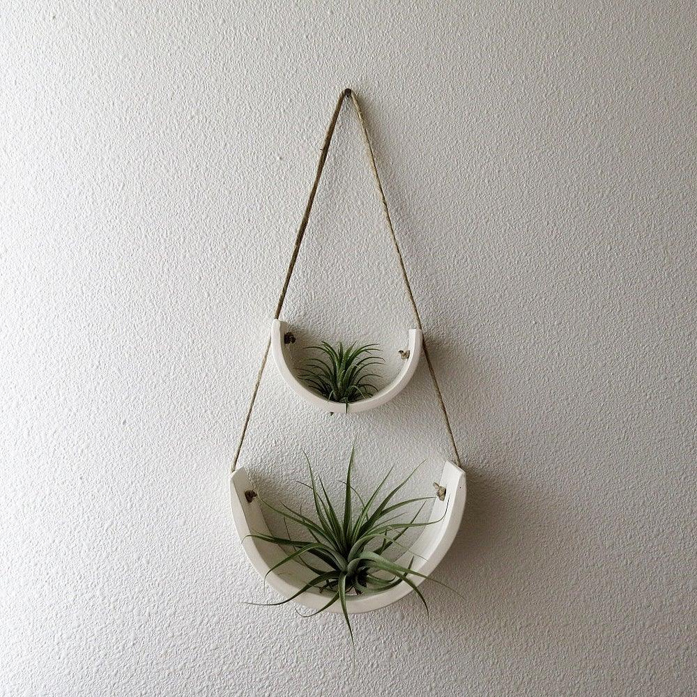 Hanging Air Plant Cradle