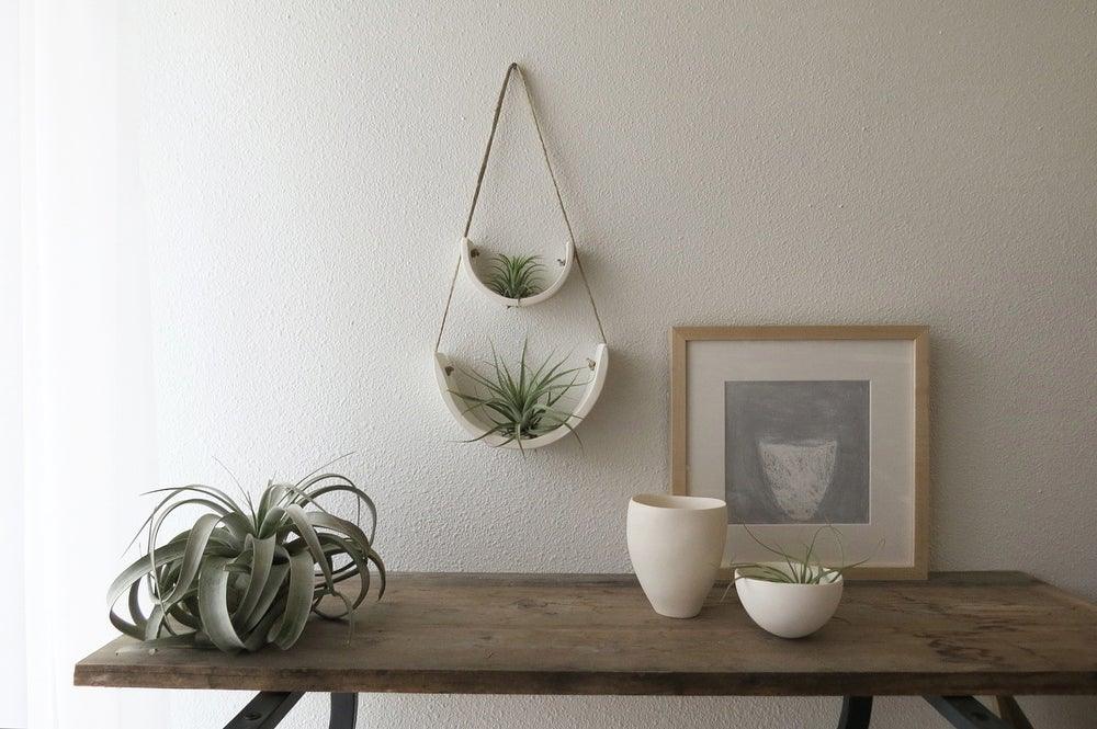Hanging Air Plant Cradle