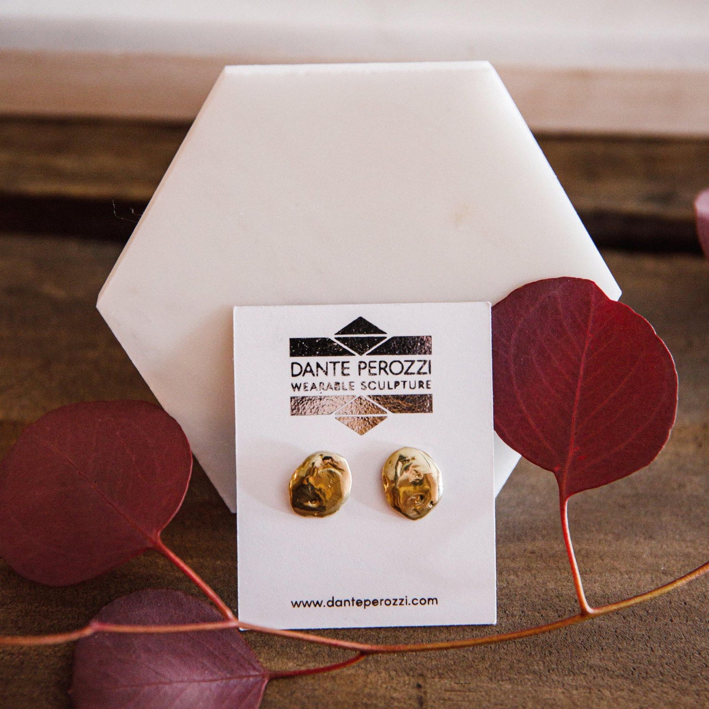 Solid brass statement stud earrings. Large circle stud gold. Dante Perozzi handmade.