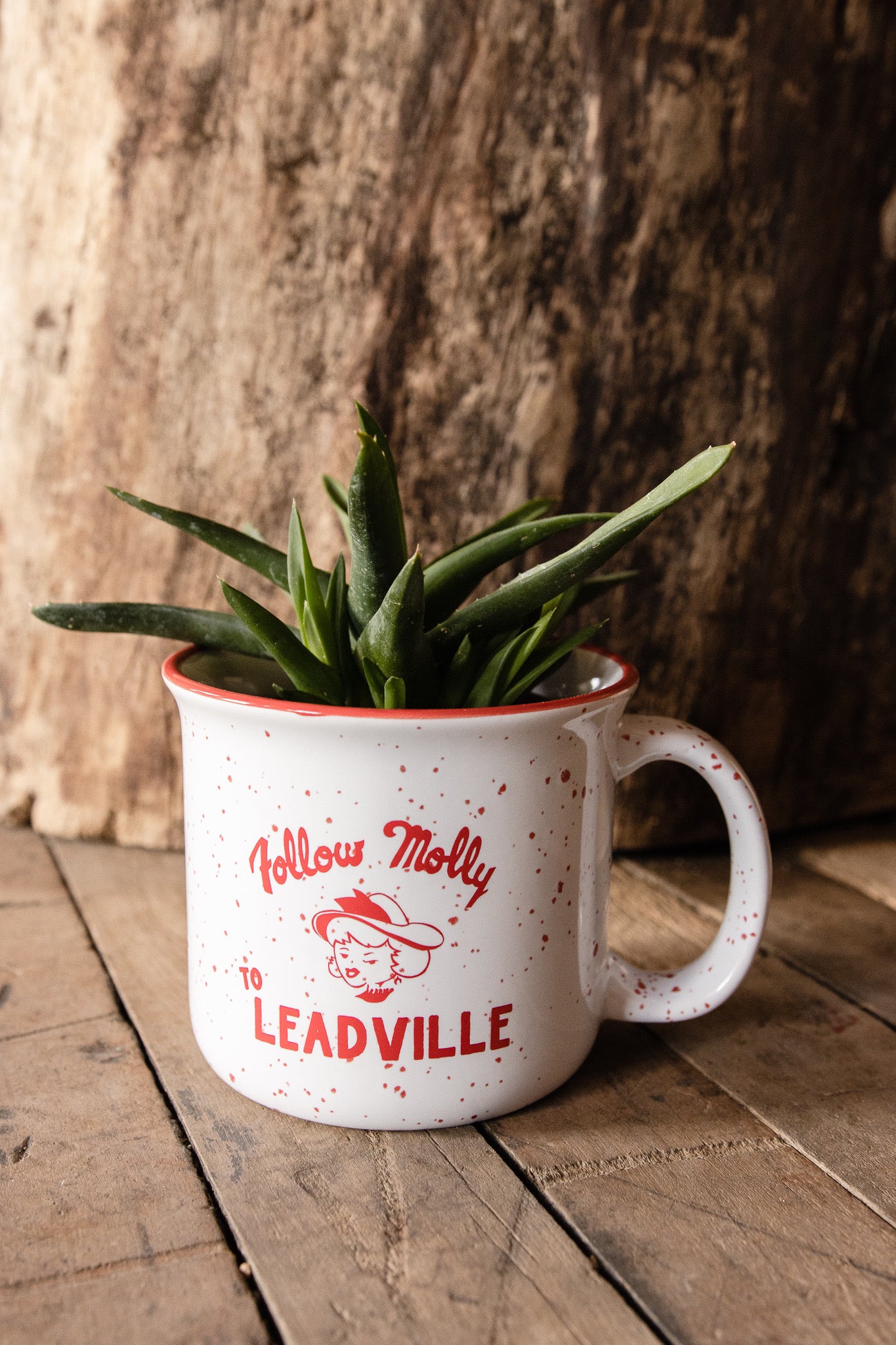 Leadville Mug