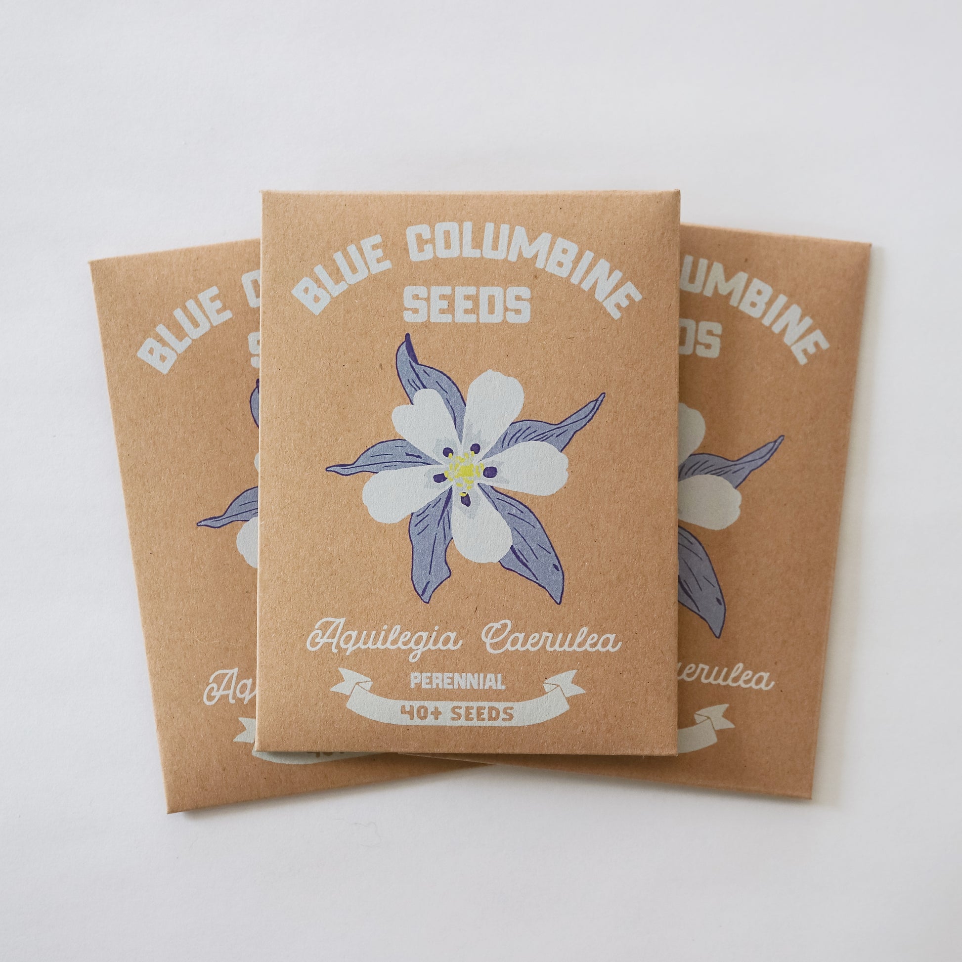 colorado columbine flower seeds Blue Columbine Seeds – Elevation Goods