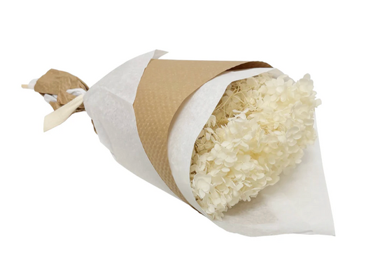 Ivory Preserved Hydrangea Bouquet