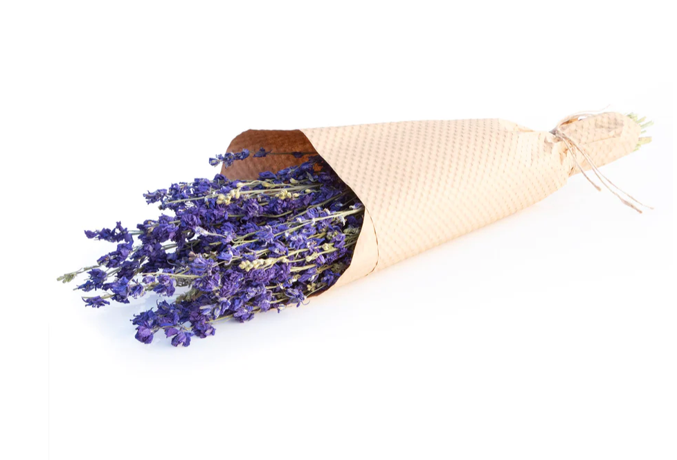 Farmhouse Larkspur Bundle