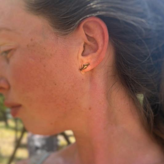 Brass Fish Studs