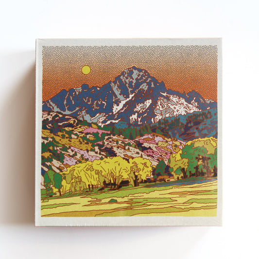 Rocky Mountain View Puzzle