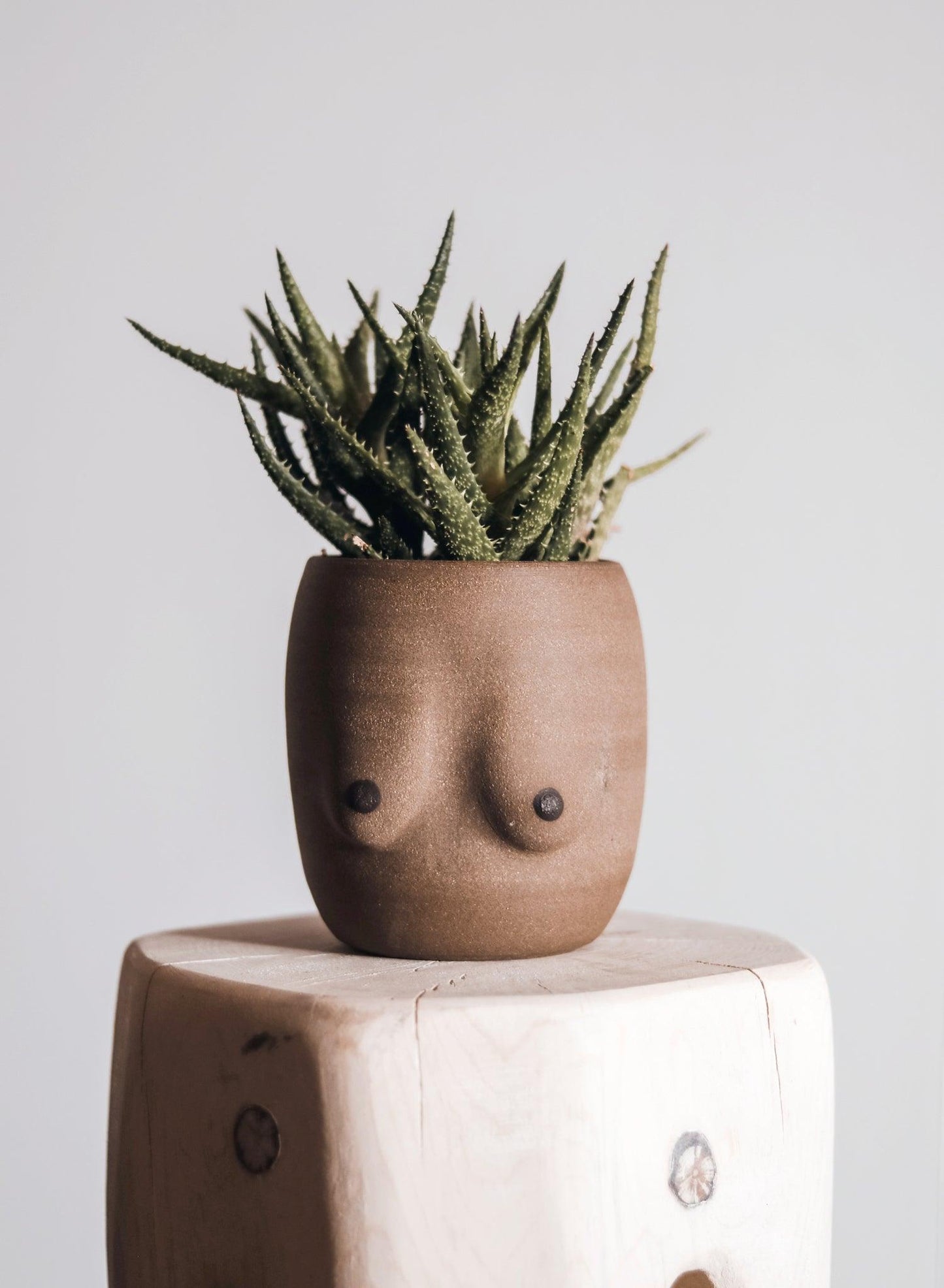 Tan Boob Art Planter with drain hole