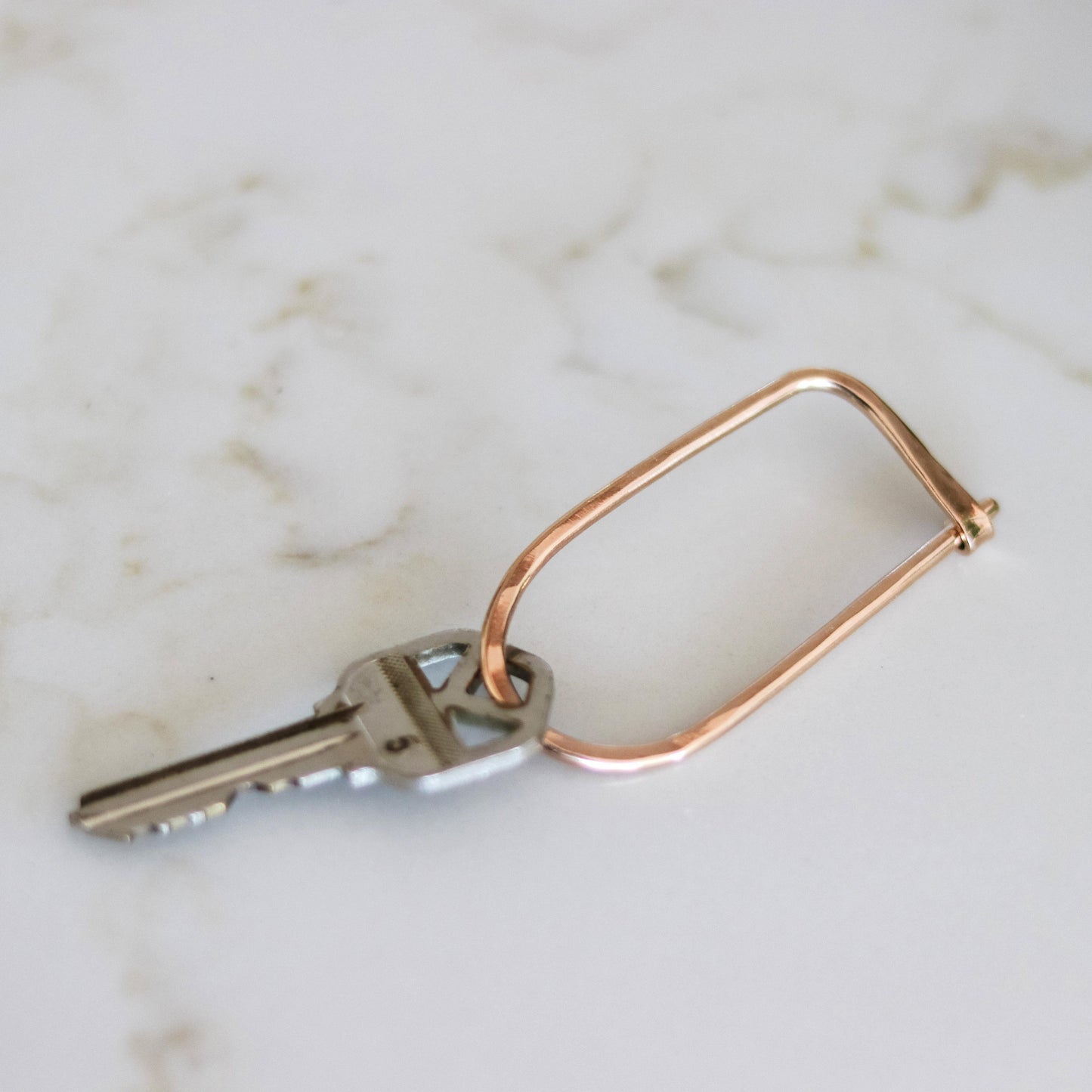 Bronze key clip with key