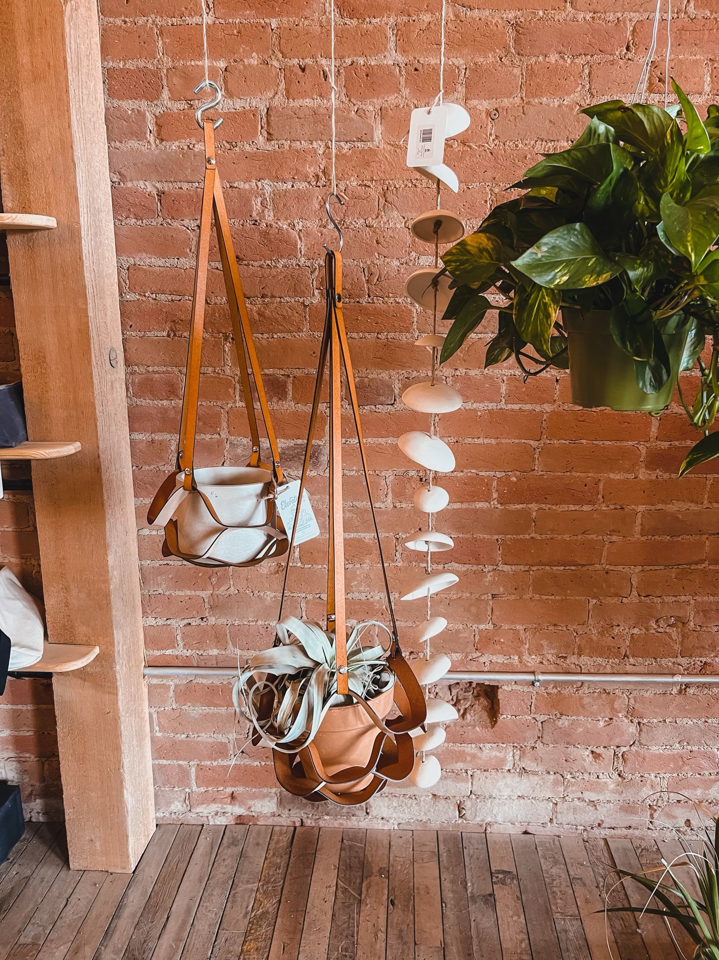 leather plant hanger