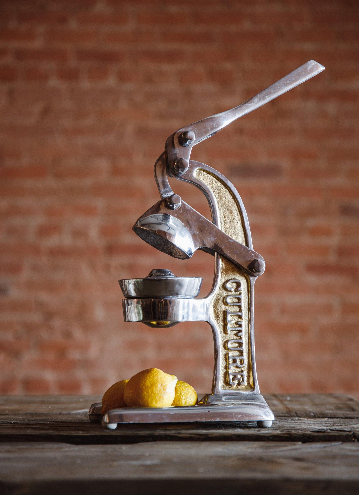 Metal Lemon Squeezer