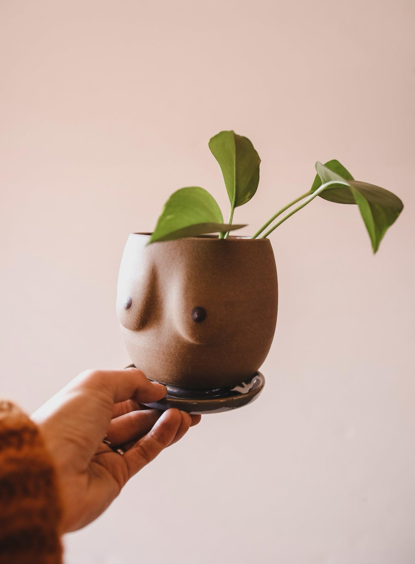 Boob Art Planter