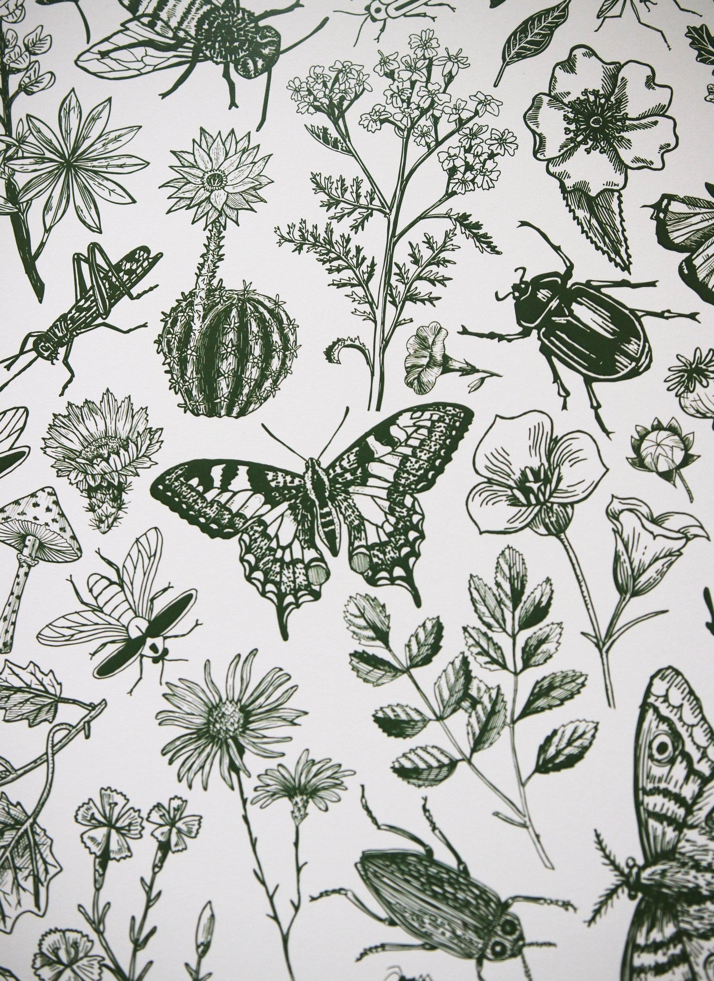 This wall art is the very best of the bug and floral botanical prints.