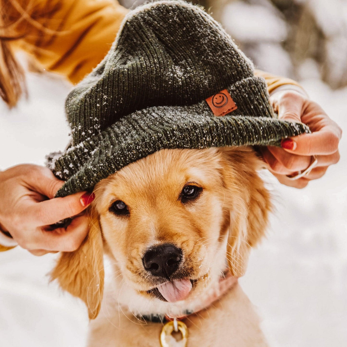 Merino Wool Beanie