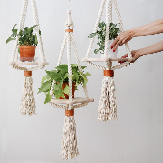 Hanging planters - wood, leather and rope