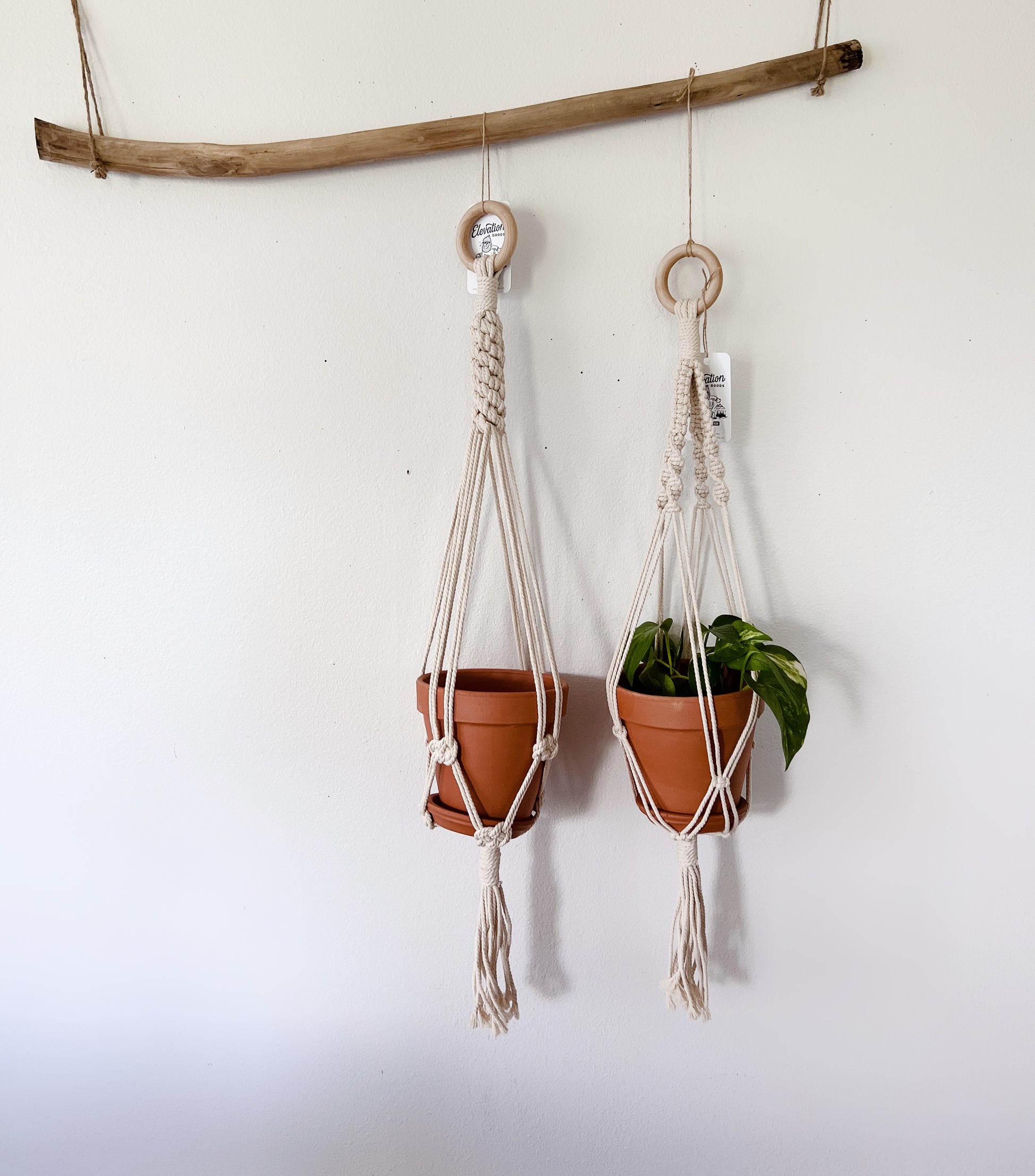 Hanging rope planter